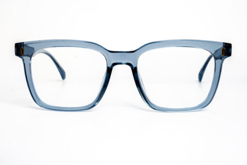 BSS Eyeglasses