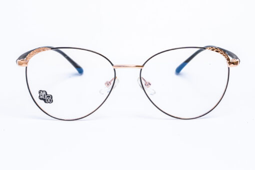 AOLAiYA EYEGLASSES