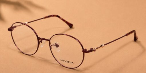 LAVIDA